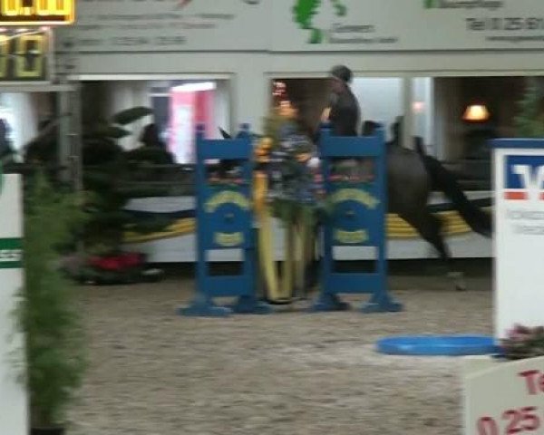 20. Grosses Hallen Springturnier in Vreden