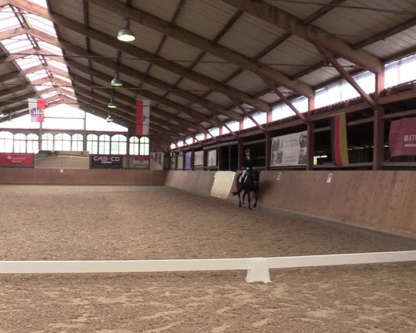 Reitturnier Elisenau 2021