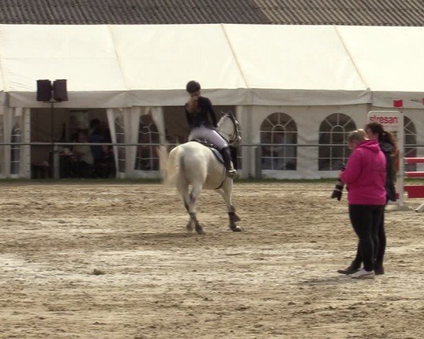 Reitturnier Bottrop 2024