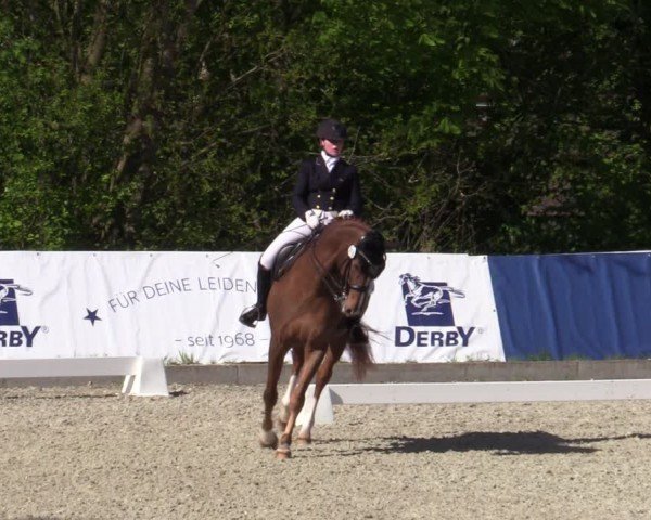Reitturnier Elmlohe 2024