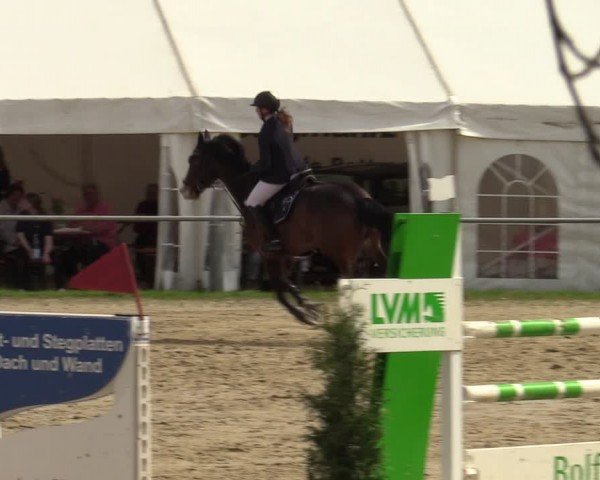 Reitturnier Bottrop 2024