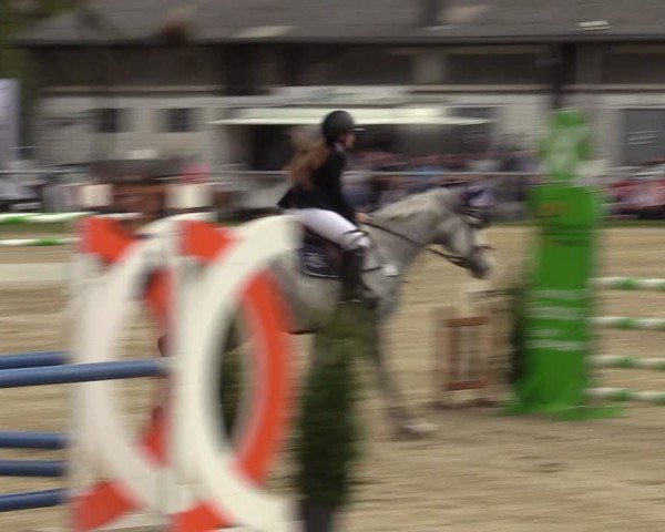 Reitturnier Bottrop 2024