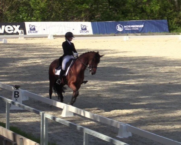 Reitturnier Elmlohe 2024