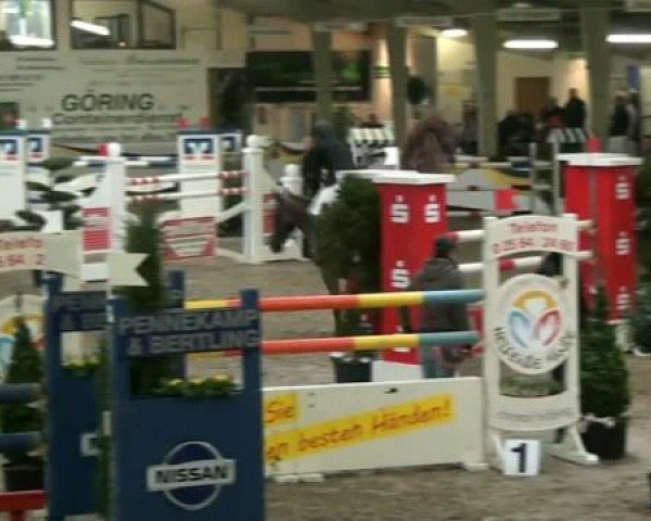 20. Grosses Hallen Springturnier in Vreden