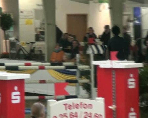 20. Grosses Hallen Springturnier in Vreden