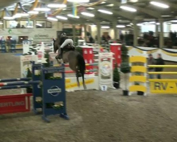 20. Grosses Hallen Springturnier in Vreden