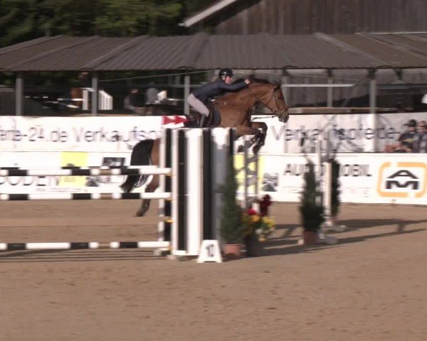 Reitturnier Ranshofen - Braunau am Inn 2024