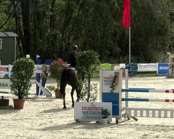 Reitturnier Isny-Rohrdorf 2021