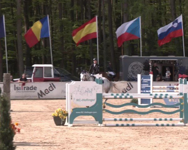 Reitturnier Ranshofen - Braunau am Inn 2024