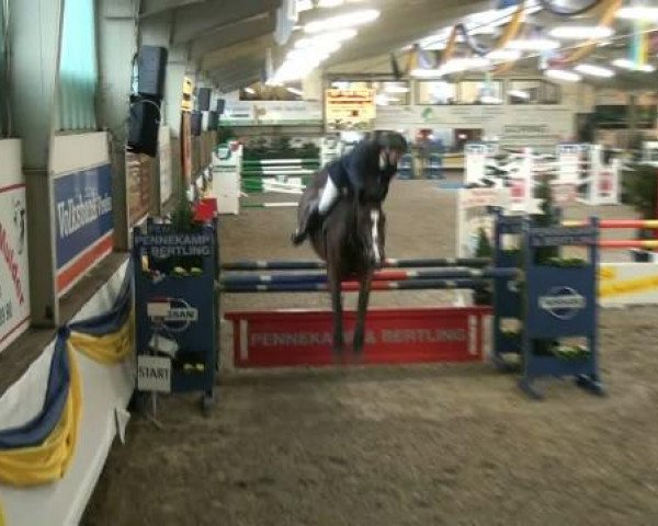 20. Grosses Hallen Springturnier in Vreden