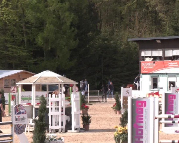 Reitturnier Ranshofen - Braunau am Inn 2024