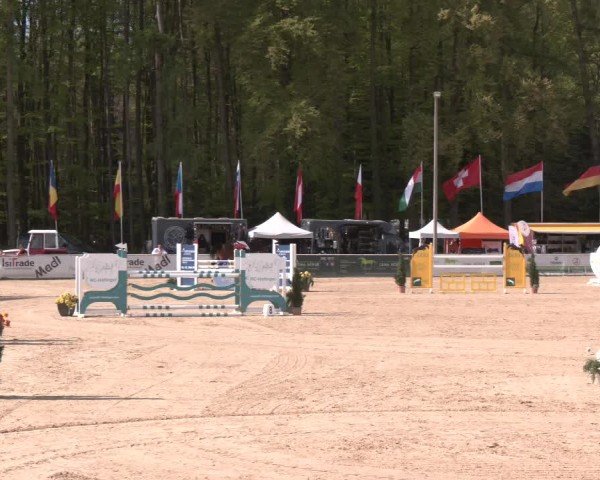 Reitturnier Ranshofen - Braunau am Inn 2024