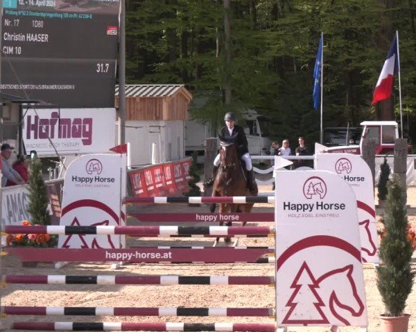 Reitturnier Ranshofen - Braunau am Inn 2024