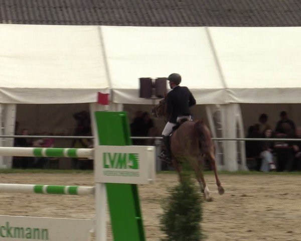 Reitturnier Bottrop 2024