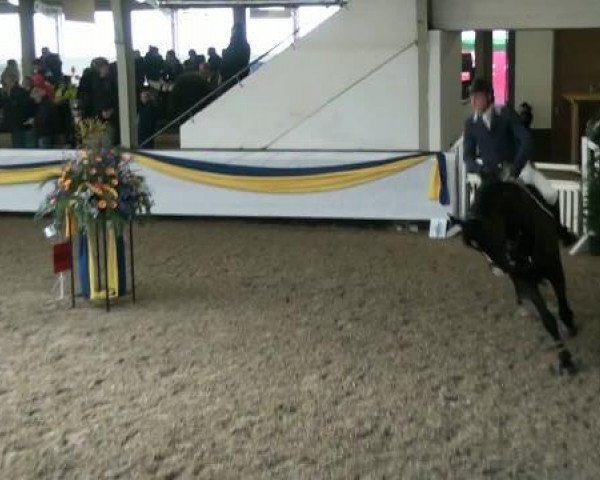 20. Grosses Hallen Springturnier in Vreden