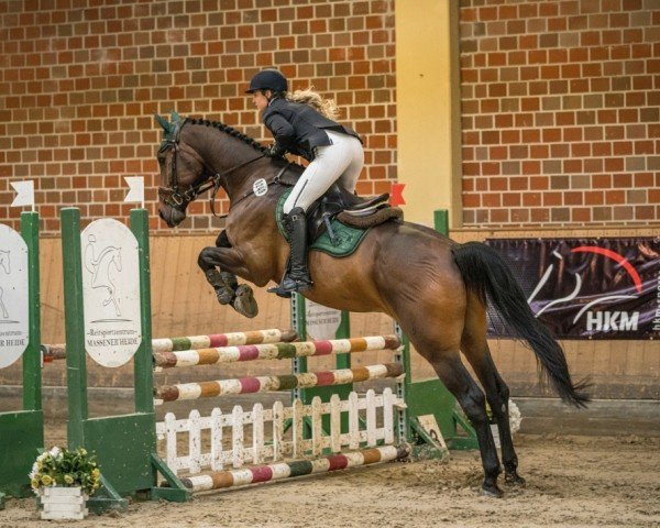 jumper Casanova 588 (Hanoverian, 2018, from Chacco's Son II)