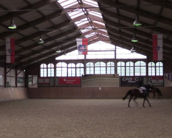 Reitturnier Elisenau 2021