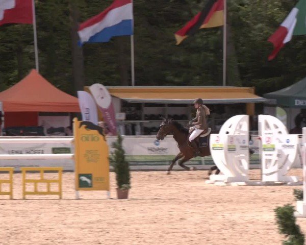 Reitturnier Ranshofen - Braunau am Inn 2024