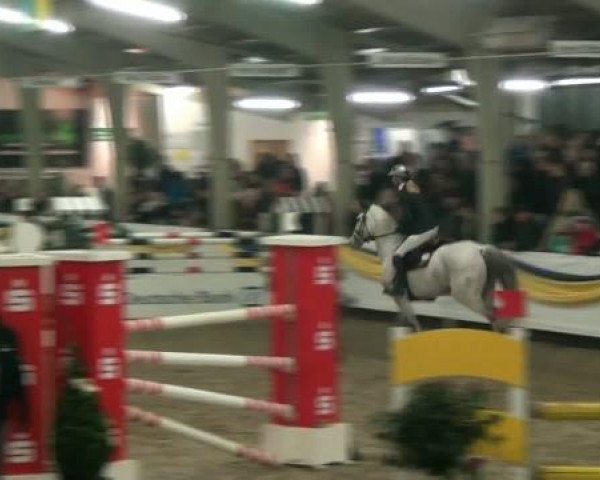20. Grosses Hallen Springturnier in Vreden