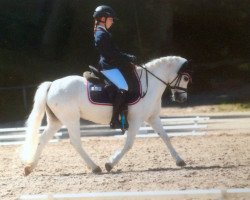 broodmare Rosalie Rosinchen (Welsh mountain pony (SEK.A), 2001, from Raloon's Bolero)