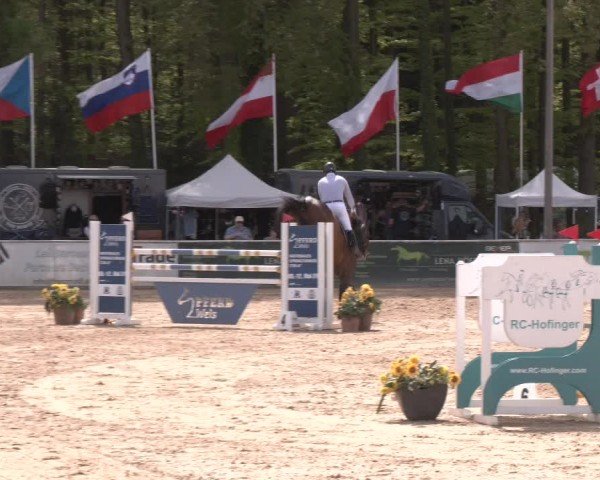 Reitturnier Ranshofen - Braunau am Inn 2024