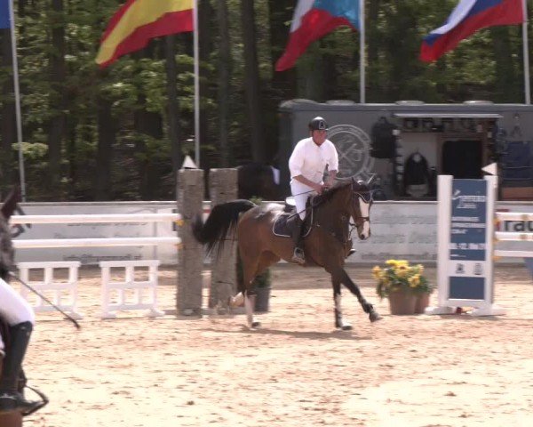 Reitturnier Ranshofen - Braunau am Inn 2024