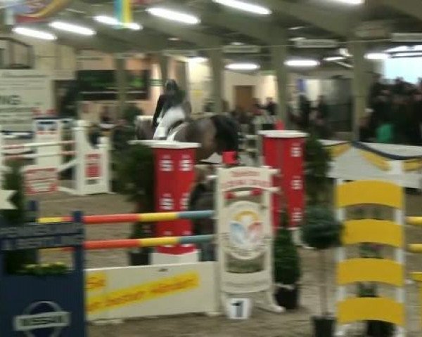 20. Grosses Hallen Springturnier in Vreden