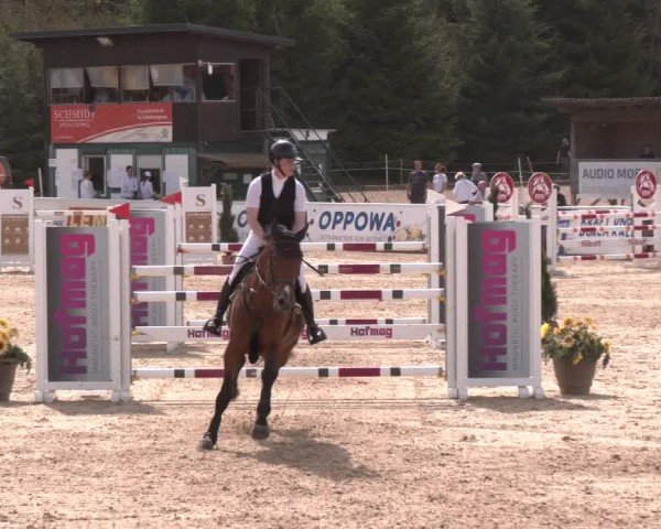 Reitturnier Ranshofen - Braunau am Inn 2024