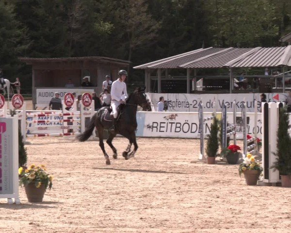 Reitturnier Ranshofen - Braunau am Inn 2024