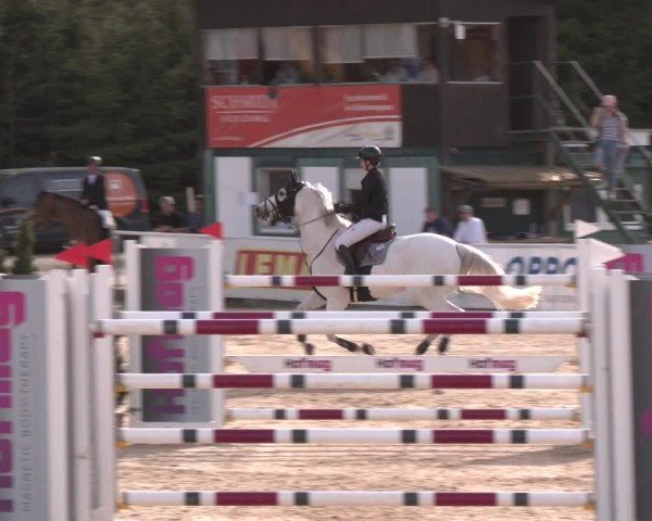 Reitturnier Ranshofen - Braunau am Inn 2024
