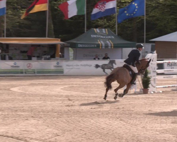 Reitturnier Ranshofen - Braunau am Inn 2024