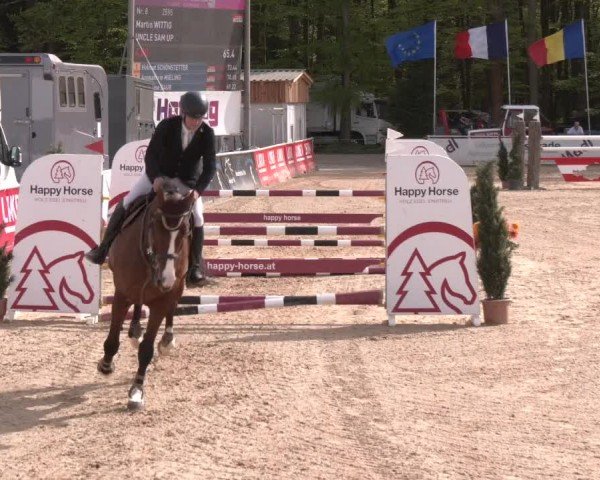Reitturnier Ranshofen - Braunau am Inn 2024