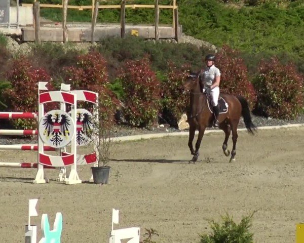 Reitturnier St. Margarethen 2024