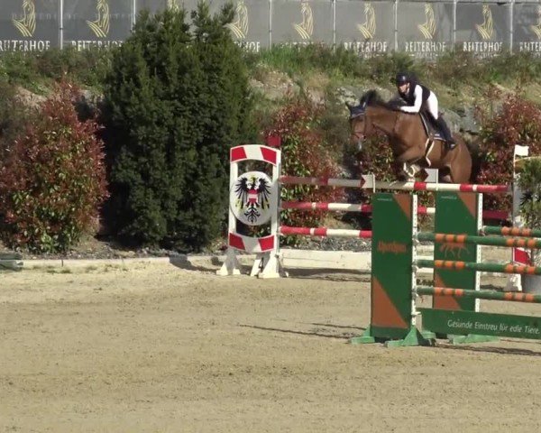 Reitturnier St. Margarethen 2024