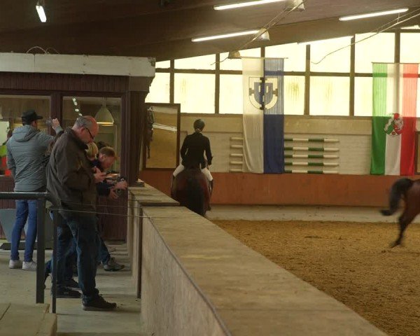Reitturnier Bottrop 2024