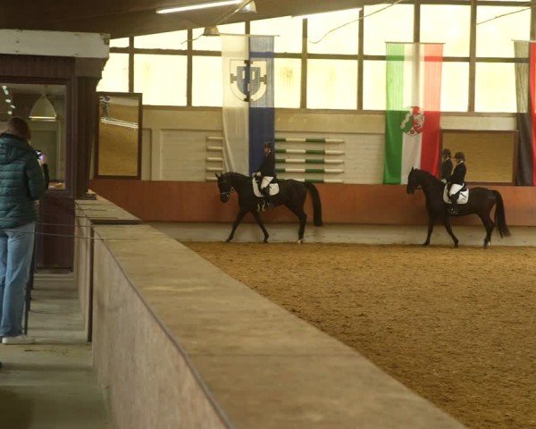 Reitturnier Bottrop 2024