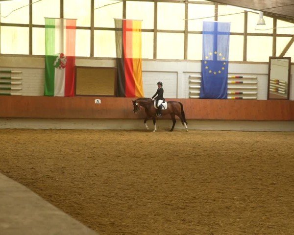 Reitturnier Bottrop 2024