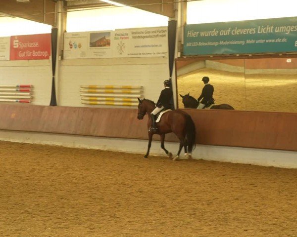 Reitturnier Bottrop 2024