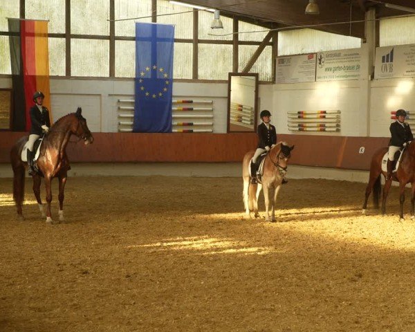 Reitturnier Bottrop 2024