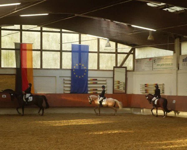 Reitturnier Bottrop 2024