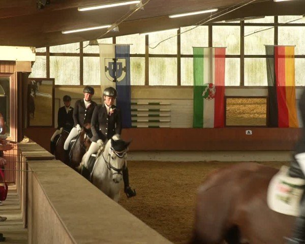 Reitturnier Bottrop 2024