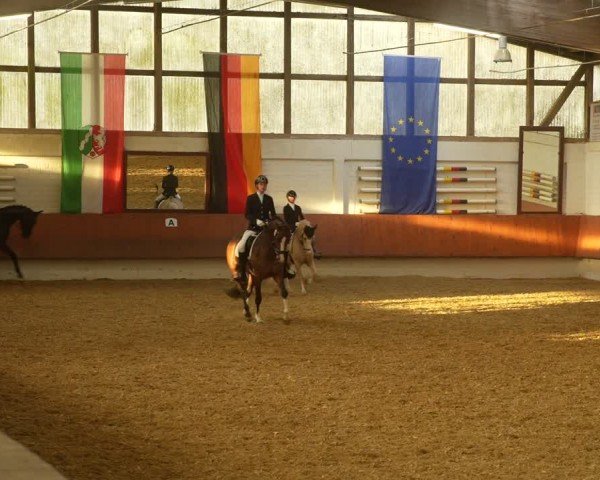 Reitturnier Bottrop 2024