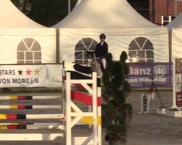 Reitturnier Werne-Lenklar 2024