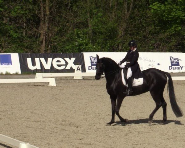 Reitturnier Elmlohe 2024