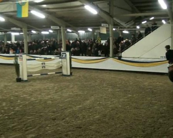 20. Grosses Hallen Springturnier in Vreden