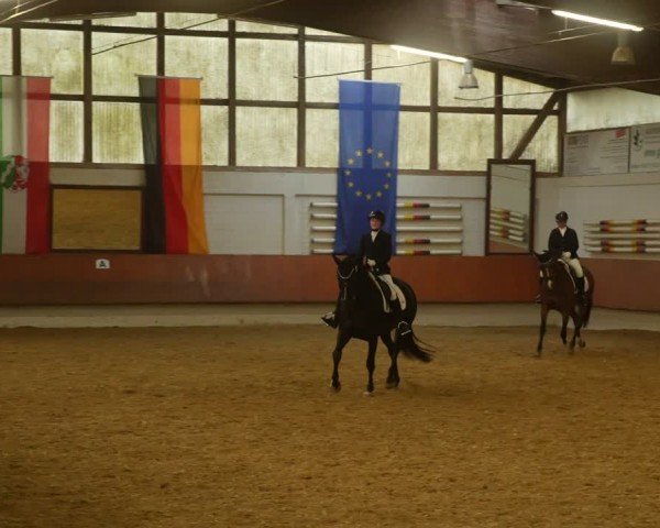 Reitturnier Bottrop 2024