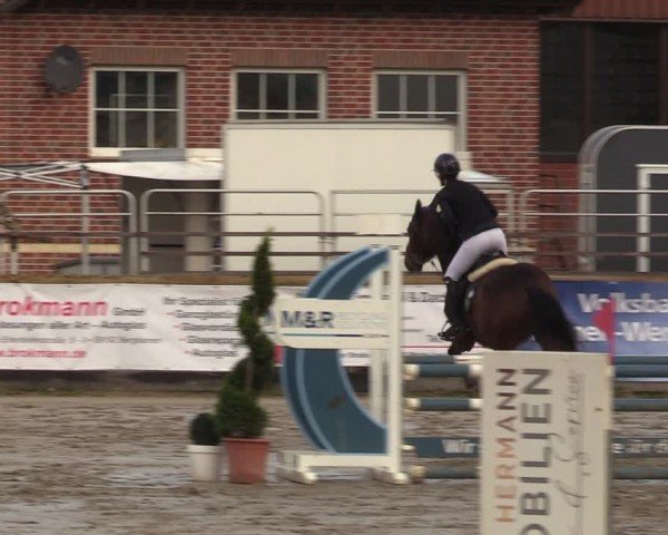 Reitturnier Werne-Lenklar 2024