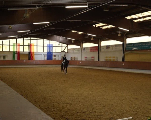 Reitturnier Bottrop 2024