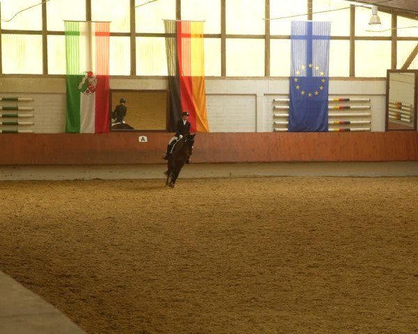 Reitturnier Bottrop 2024