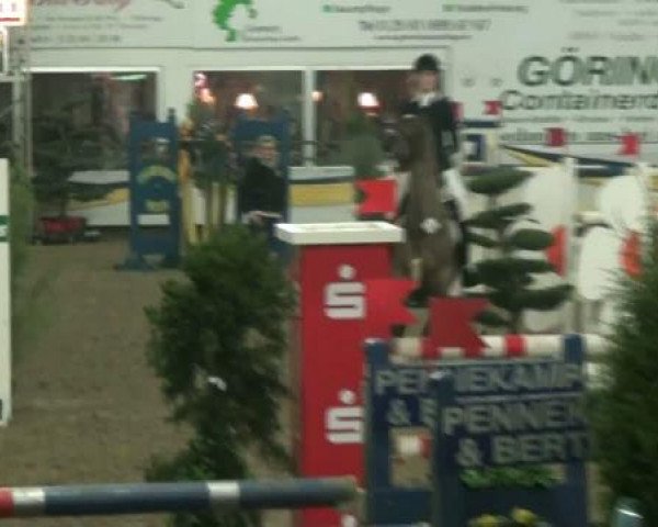 20. Grosses Hallen Springturnier in Vreden